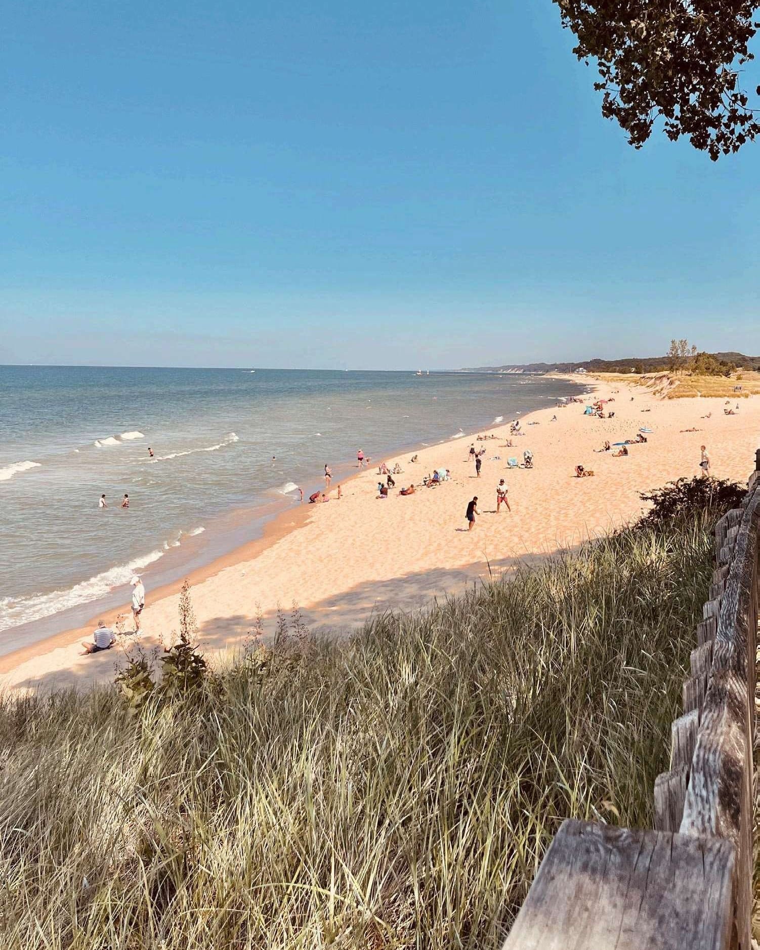 Looking down from the dune grass and a split-rail fence onto Oval Beach, with swimmers in Lake Michigan and beachgoers along the sand.
