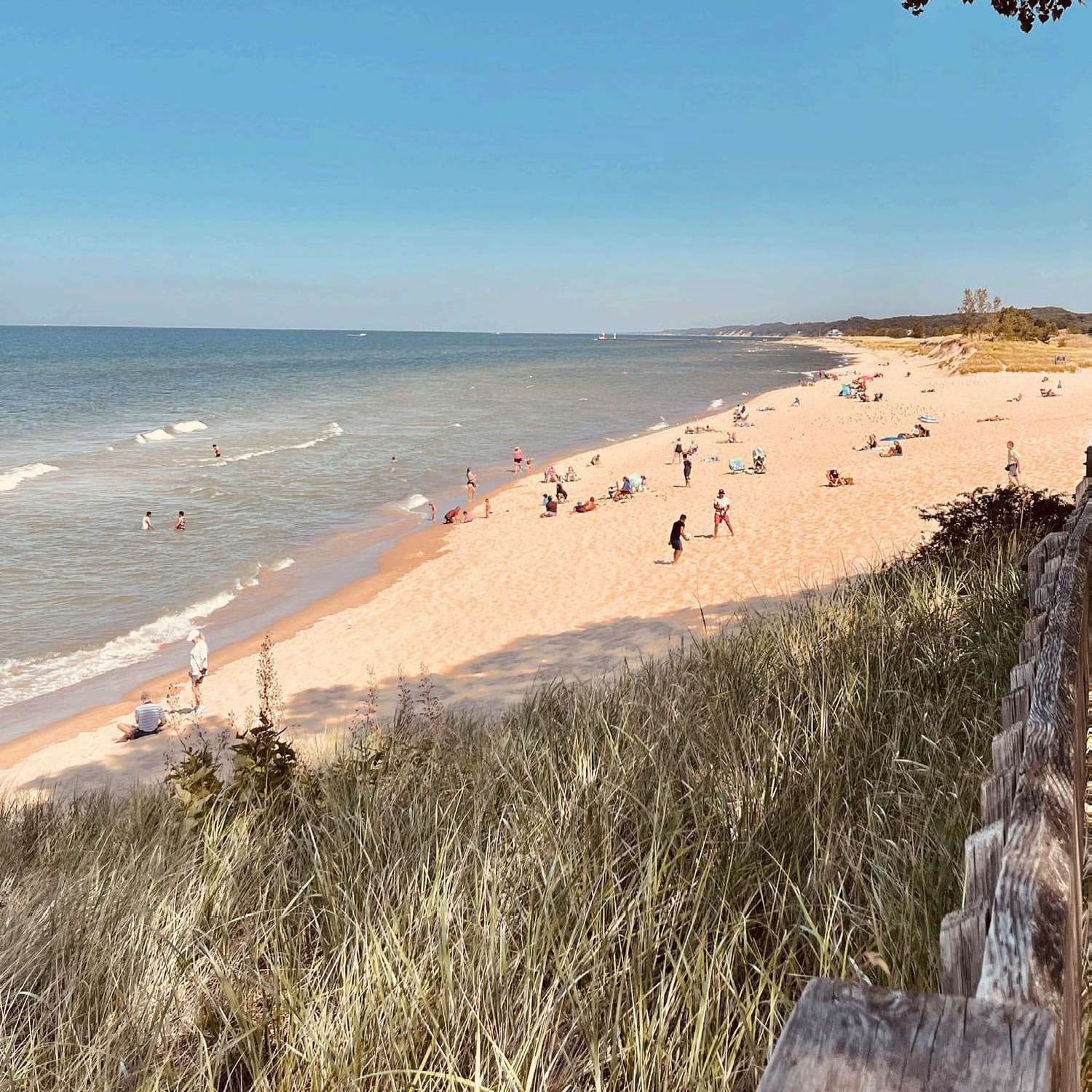 Looking down from the dune grass and a split-rail fence onto Oval Beach, with swimmers in Lake Michigan and beachgoers along the sand.