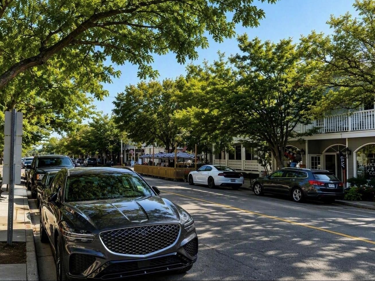 Cars parked nose to tail along both sides of a tree-lined downtown street on a summer day.