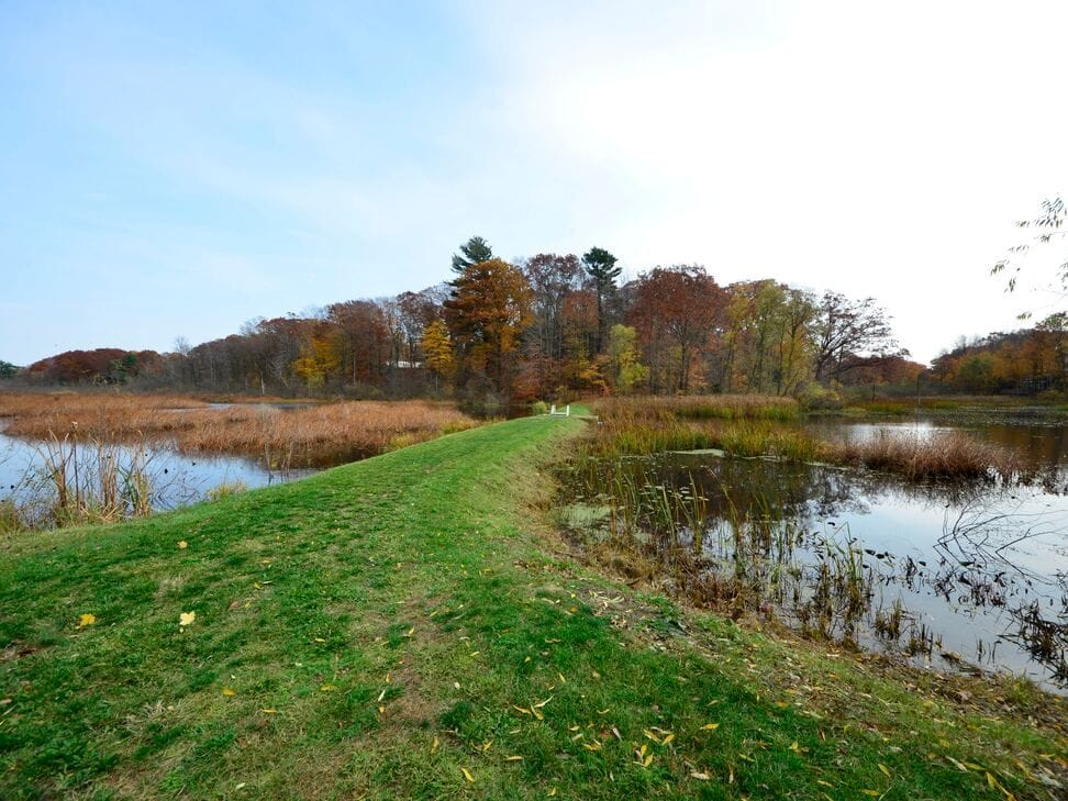 A mown grass path runs along the edge of the pond, with reeds at the water and fall color across it.