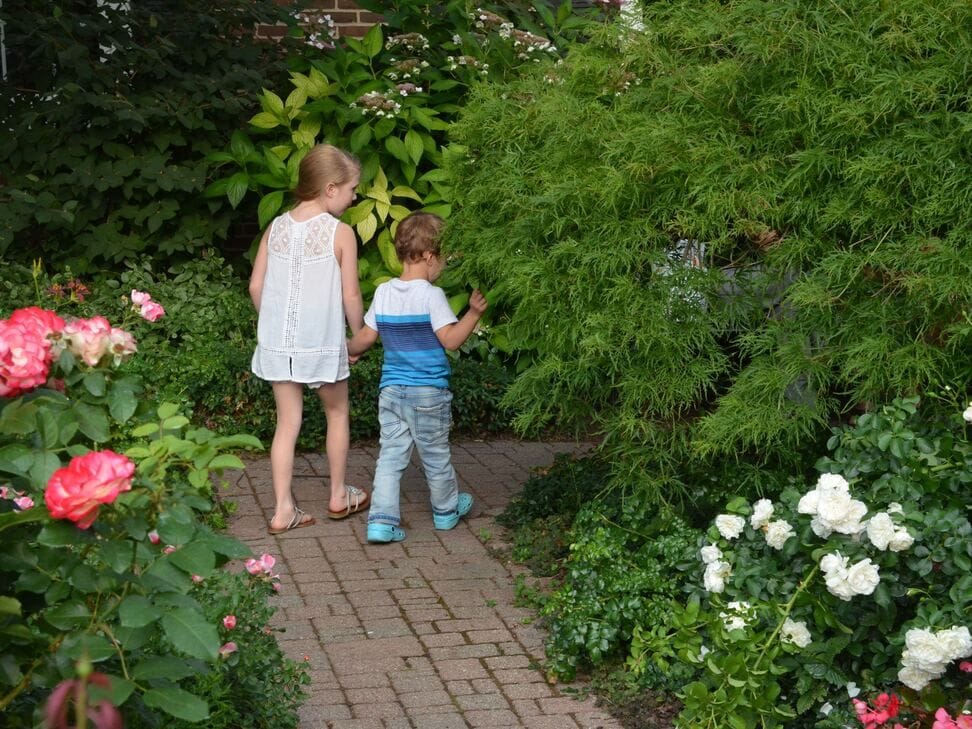 Two small children walk hand in hand down a brick path between pink and white rose bushes.