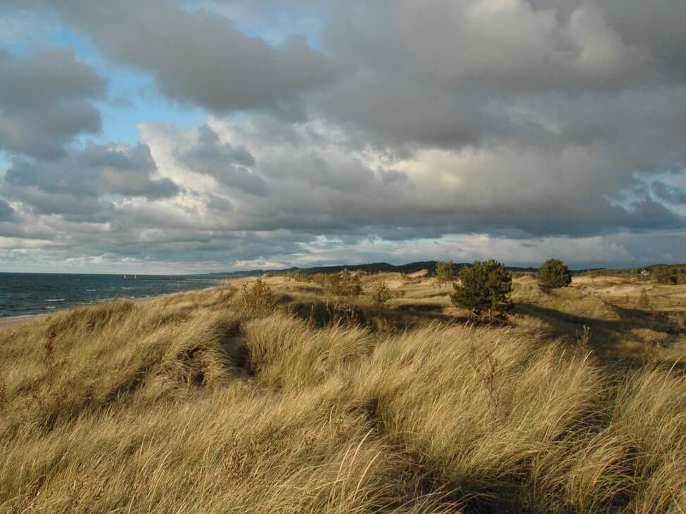 Golden dune grass rolls across open dunes toward Lake Michigan under a sky of gray and white clouds.