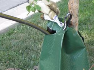 tree watering bag
