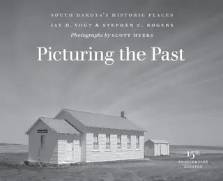 Cover of Picturing the Past