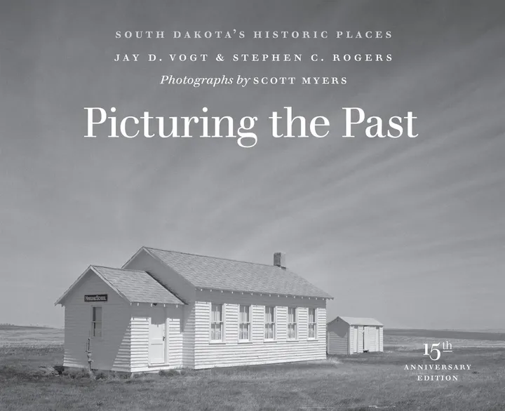 Cover of Picturing the Past