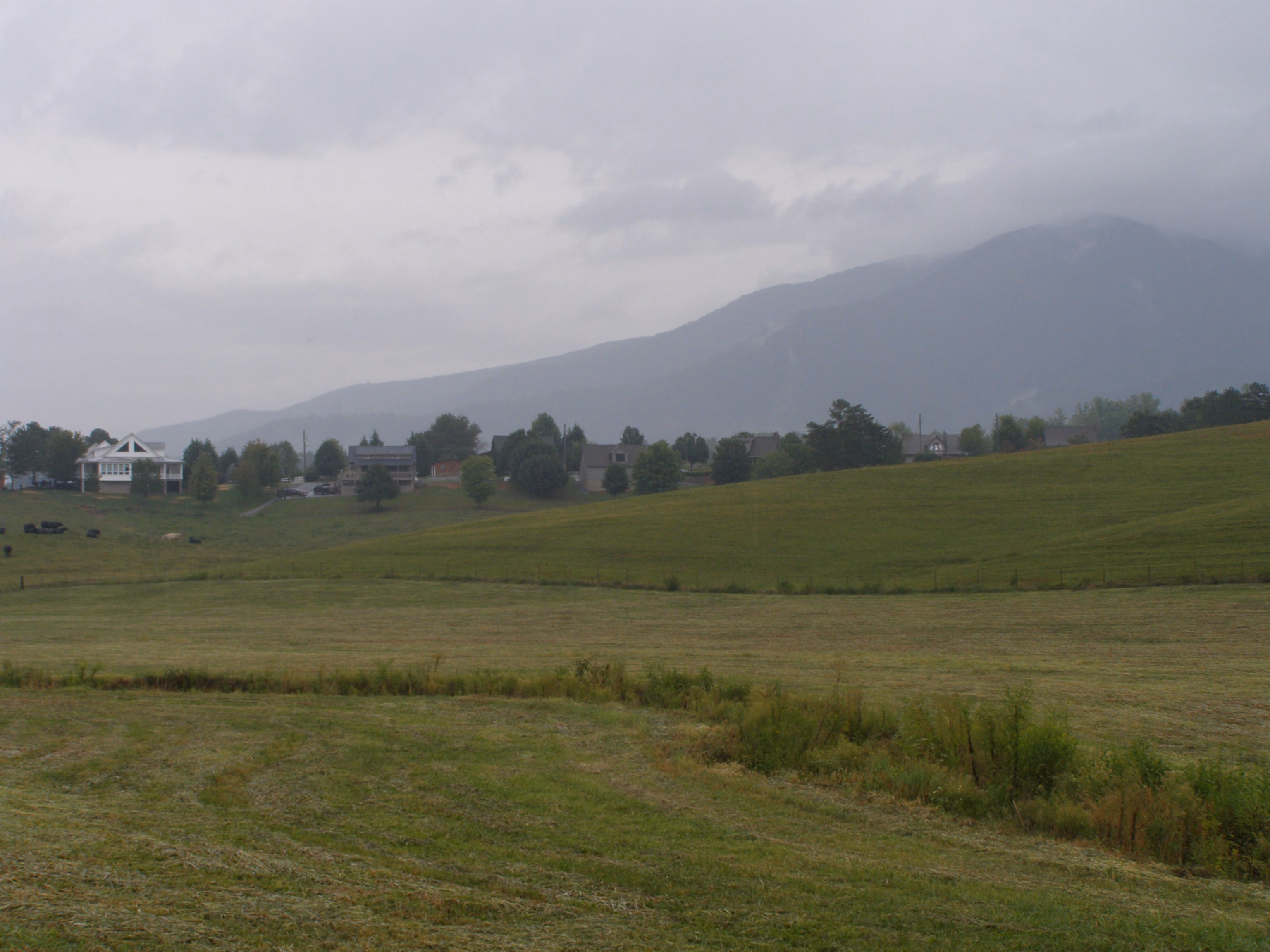 Farms and homes in Wears Valley under the mountains on a gray morning