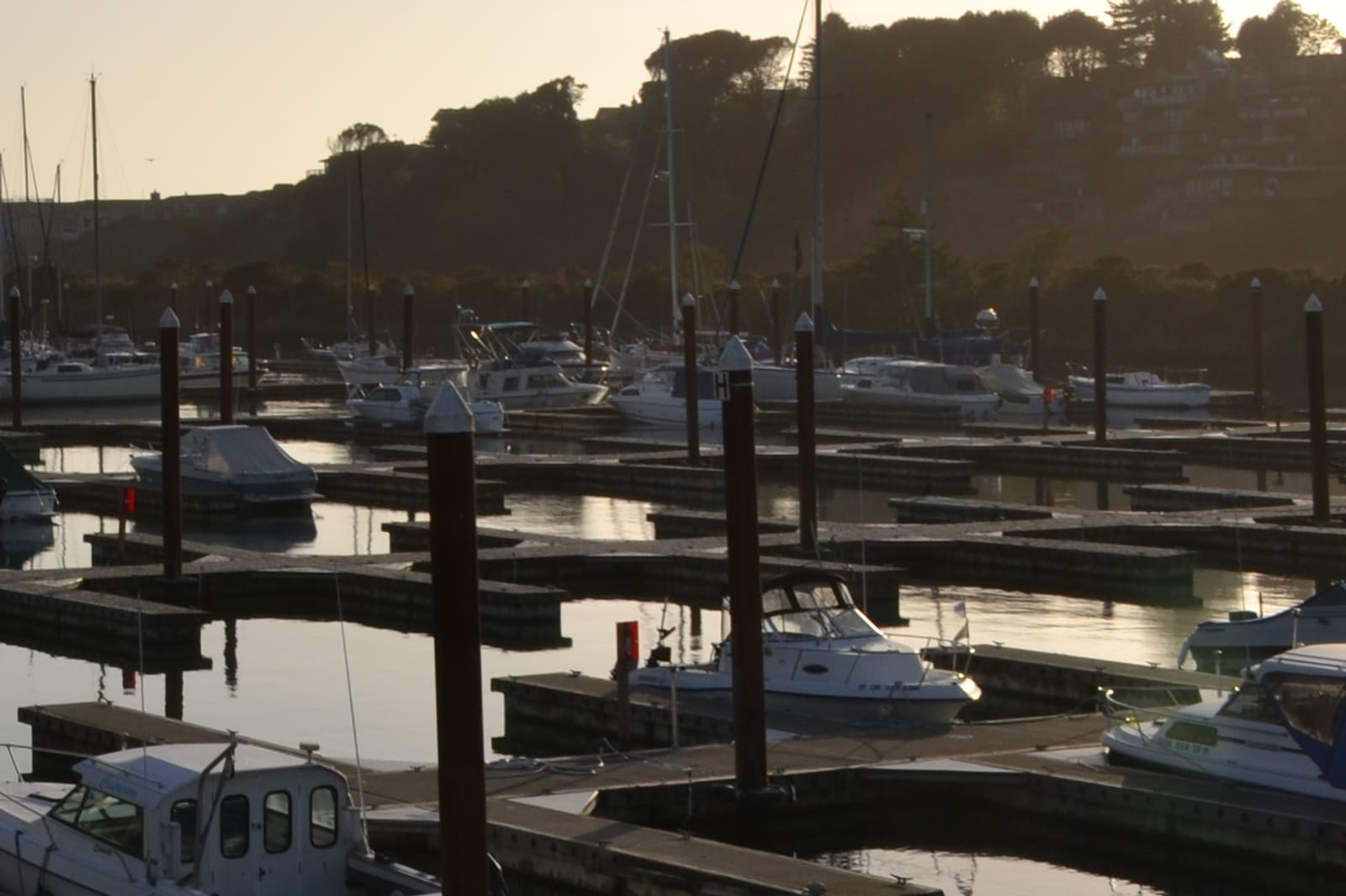 Fishing and pleasure boats moored in rows at Brookings Harbor, with a wooded headland rising behind the docks.