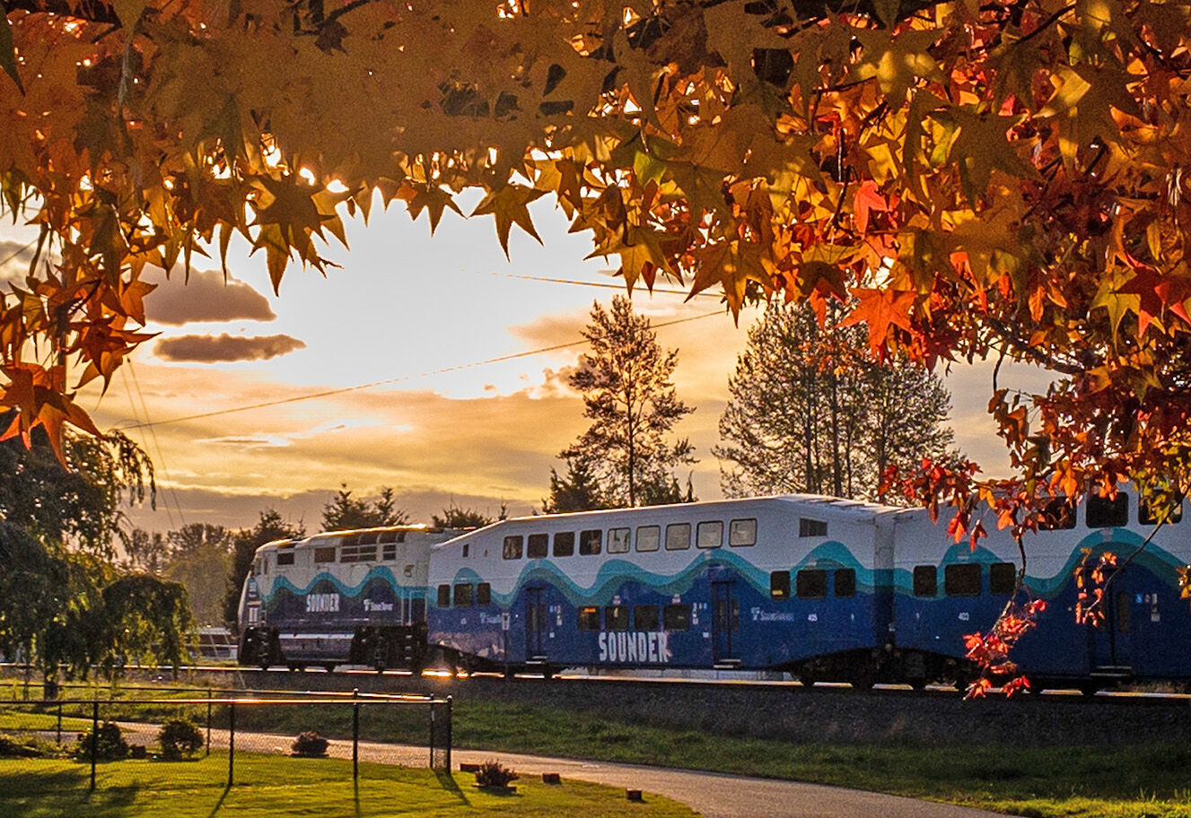 A Sounder commuter train passing through Sumner at golden hour, framed by orange autumn maple leaves.