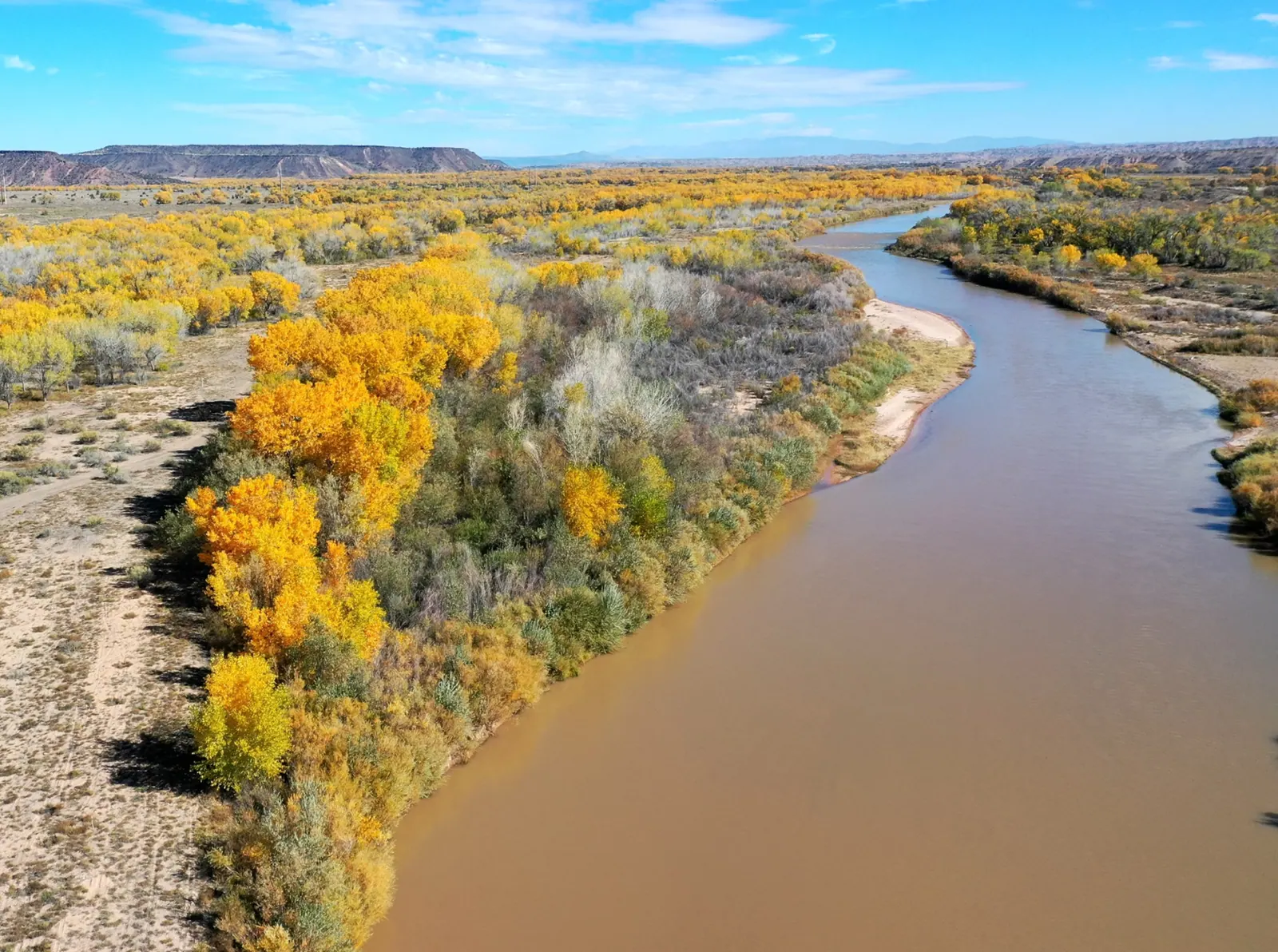 The river curving past yellow cottonwoods, seen from above.