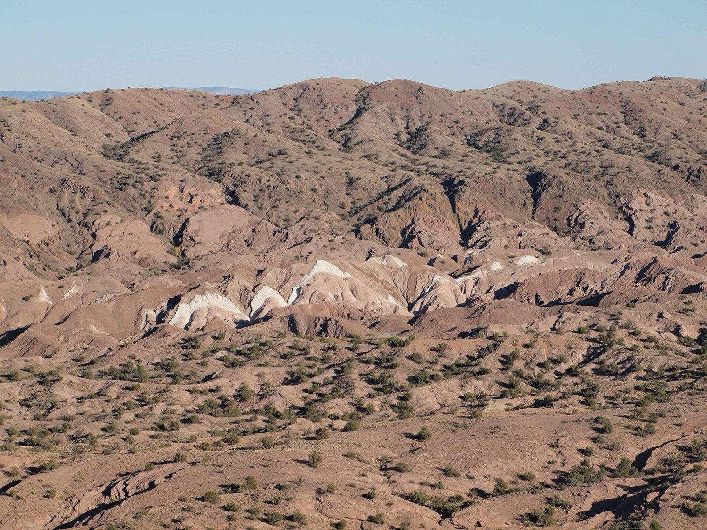 A wide view of the West Mesa stretching to the horizon under a vast New Mexico sky