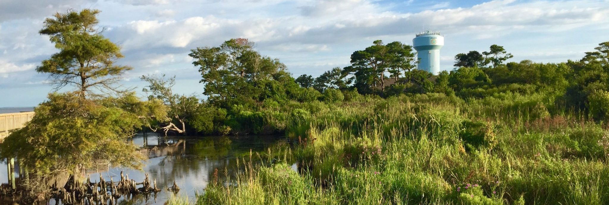 Marsh grasses and soundside water in Duck.