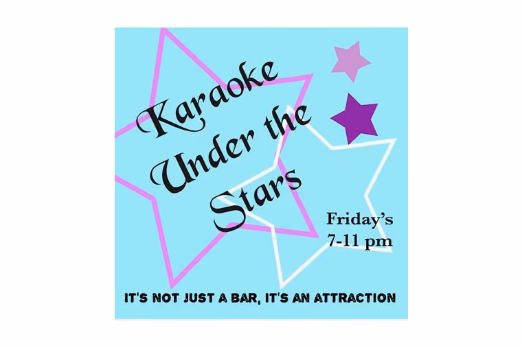 Karaoke Under The Stars
