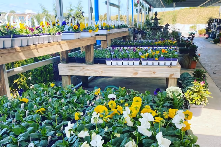 Fernwood Garden Center