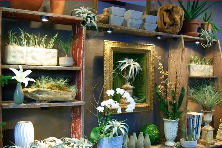 Jackson Blume Studio