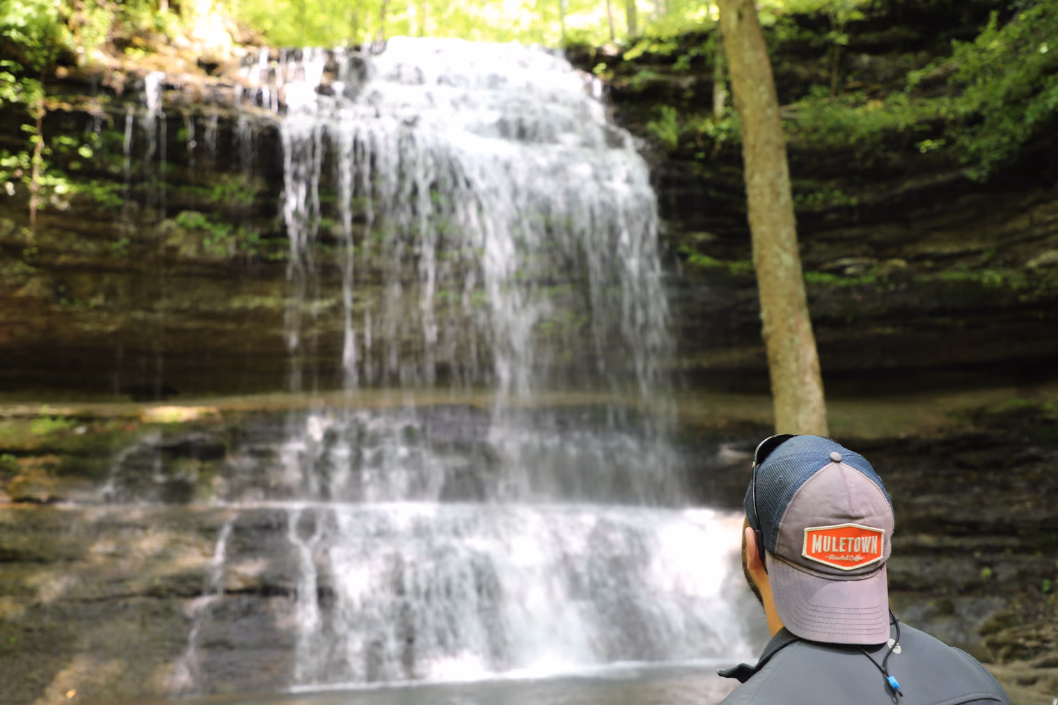 A hiker in a Muletown cap looking up at the waterfall at Stillhouse Hollow Falls.