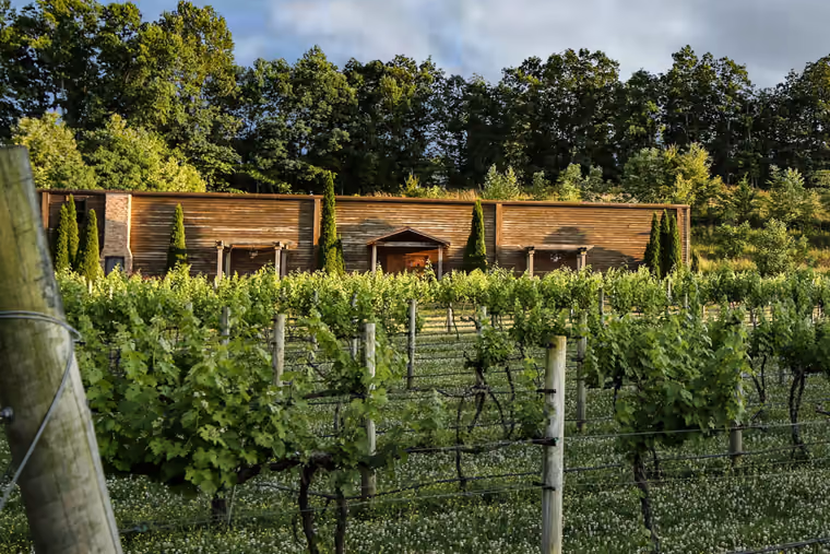 Beyond Downtown: Explore Hampshire Wineries