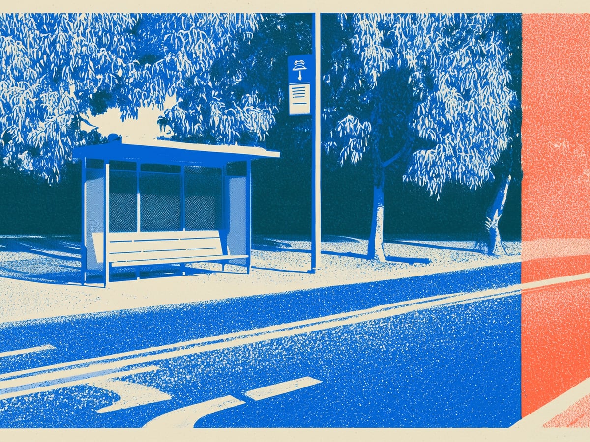 A bus shelter under trees beside a peach-lit road