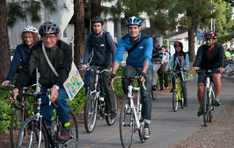 A group of West County cyclists riding together on a tree-lined street